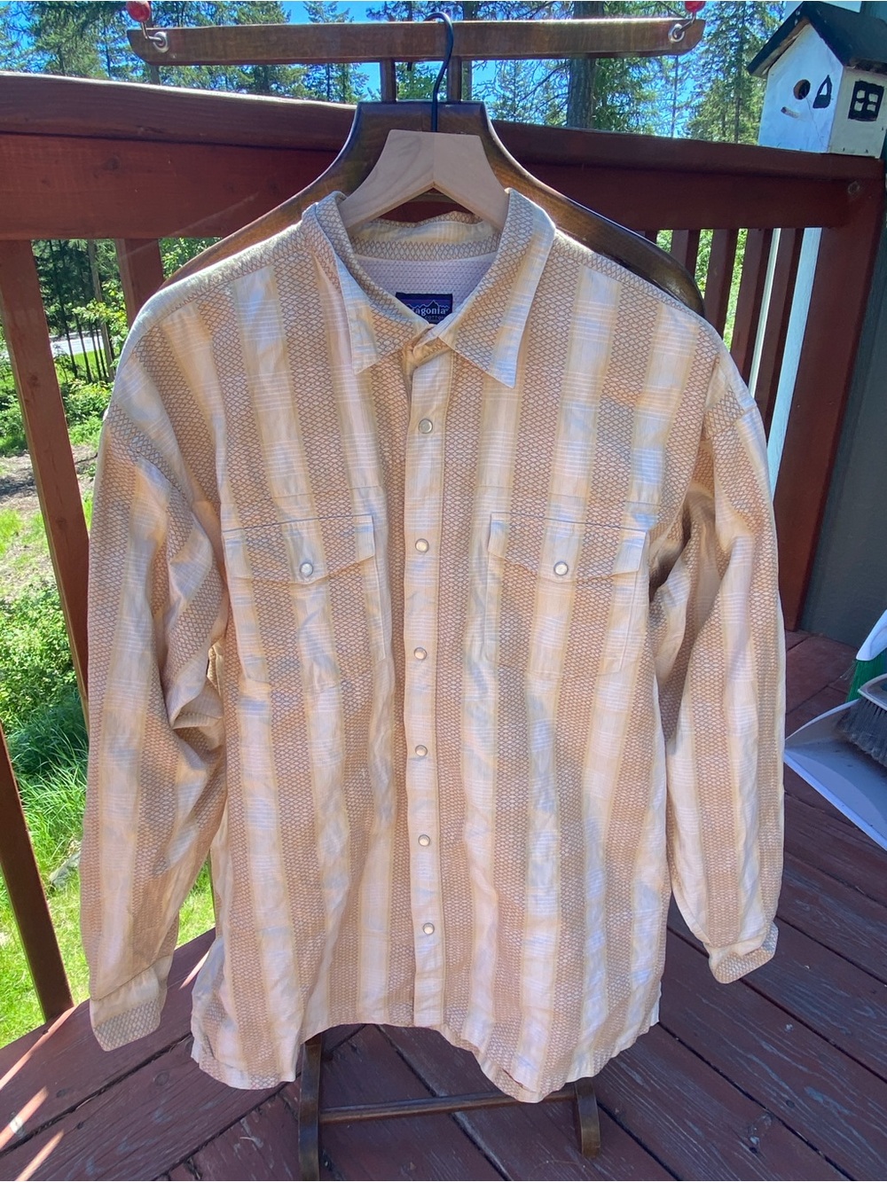 Patagonia Pearl Snap